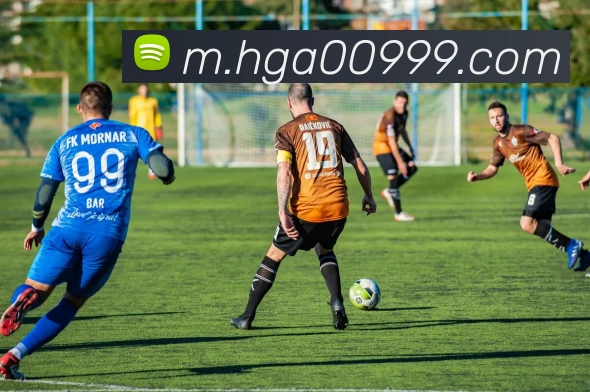 奖项证书